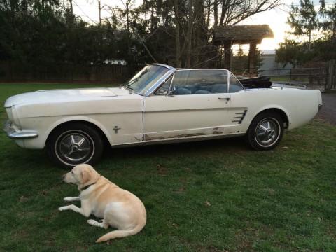 1966 Ford Mustang convertible project for sale