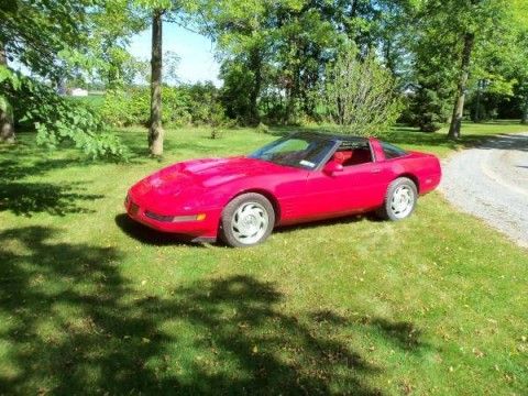 1994 Chevrolet Corvette Project for sale