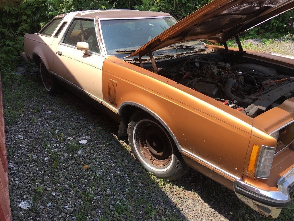 New parts 1979 Ford Thunderbird Unique project