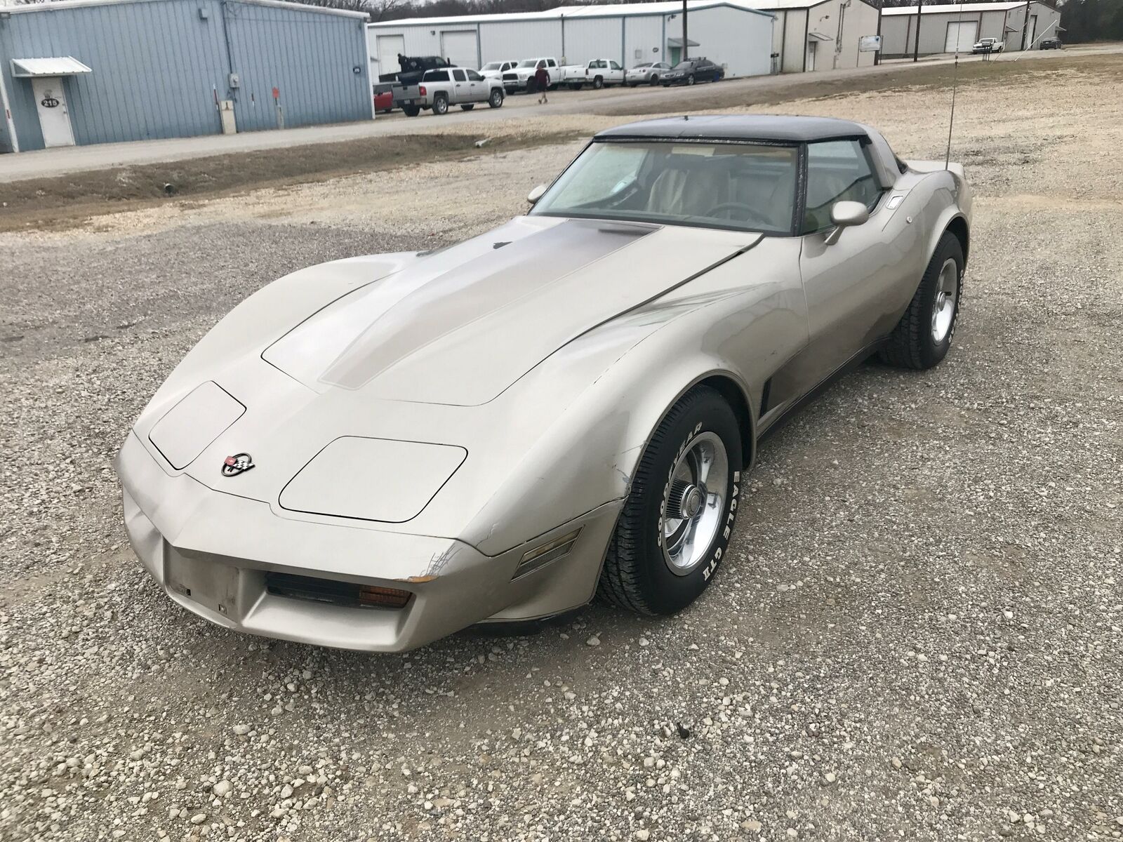 Collectors Edition 1982 Chevrolet Corvette Project for sale