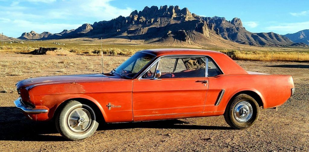 1965 Ford Mustang project [with nice patina]