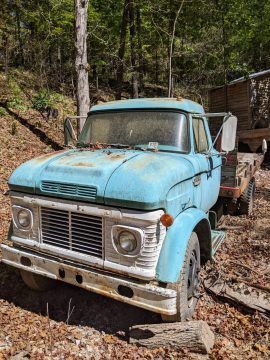1966 Ford for sale