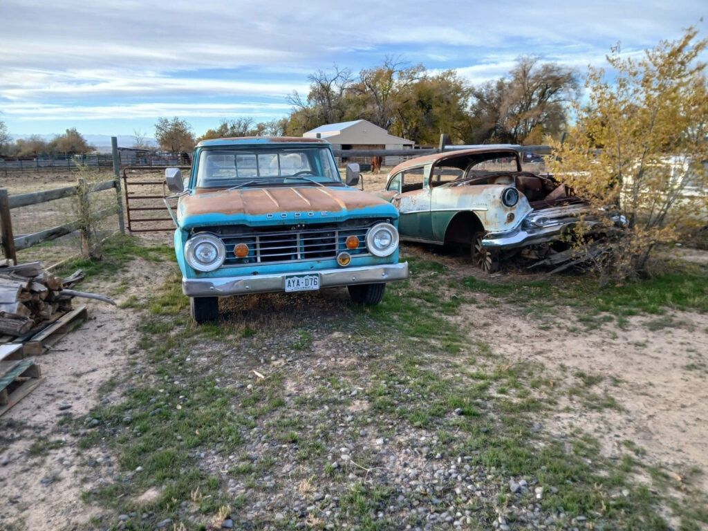1965 Dodge Pickup, Original Survivor